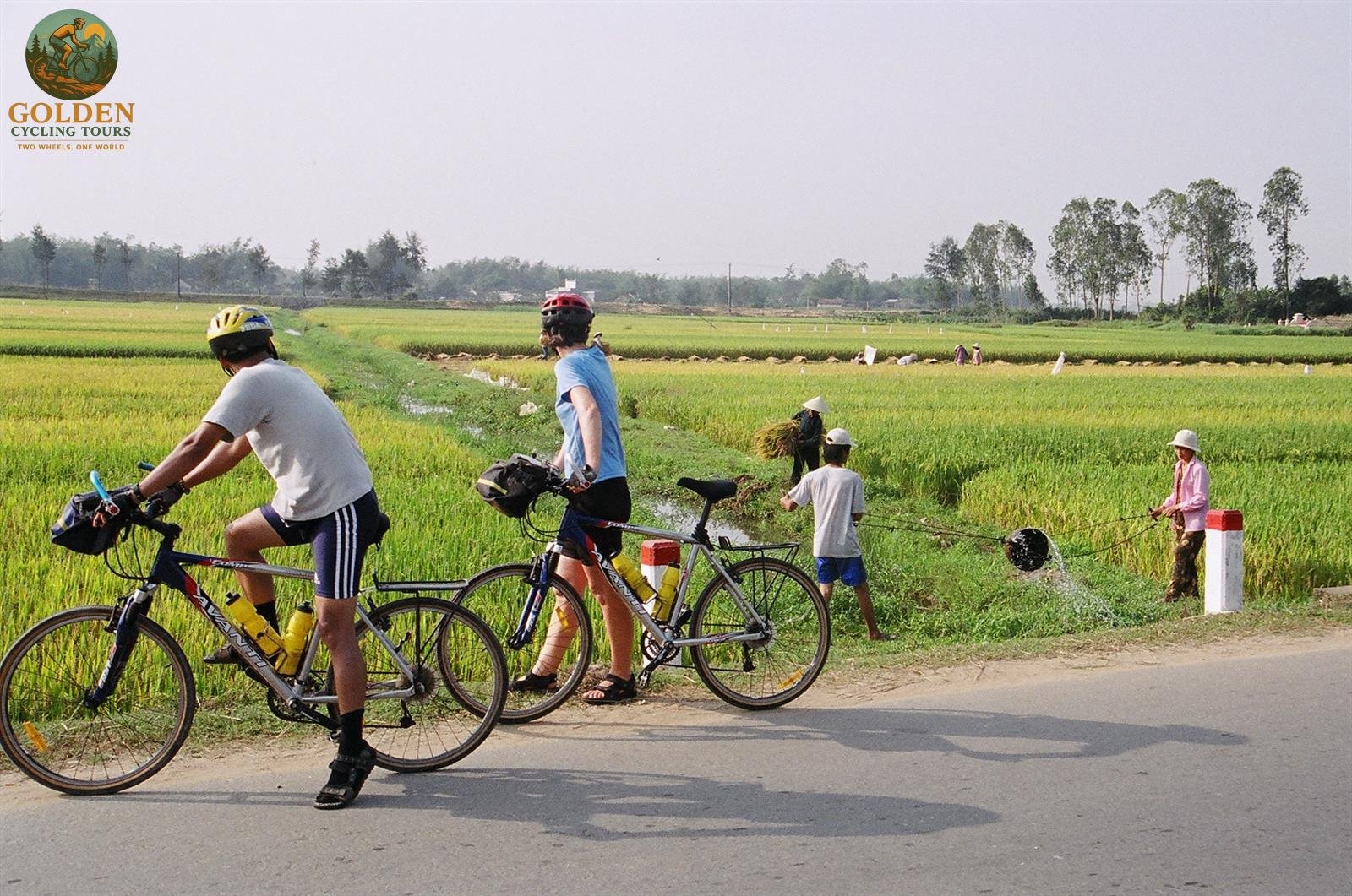 Mekong Delta Bike Tours: Ride Peaceful Coconut Island Paths