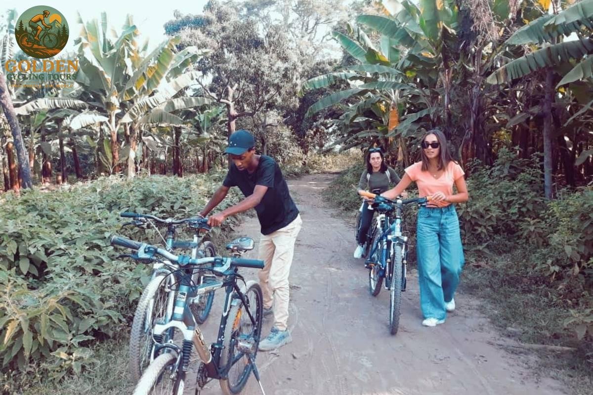 Scenic Waterway Escapes: Unforgettable Mekong Delta Bike Tours