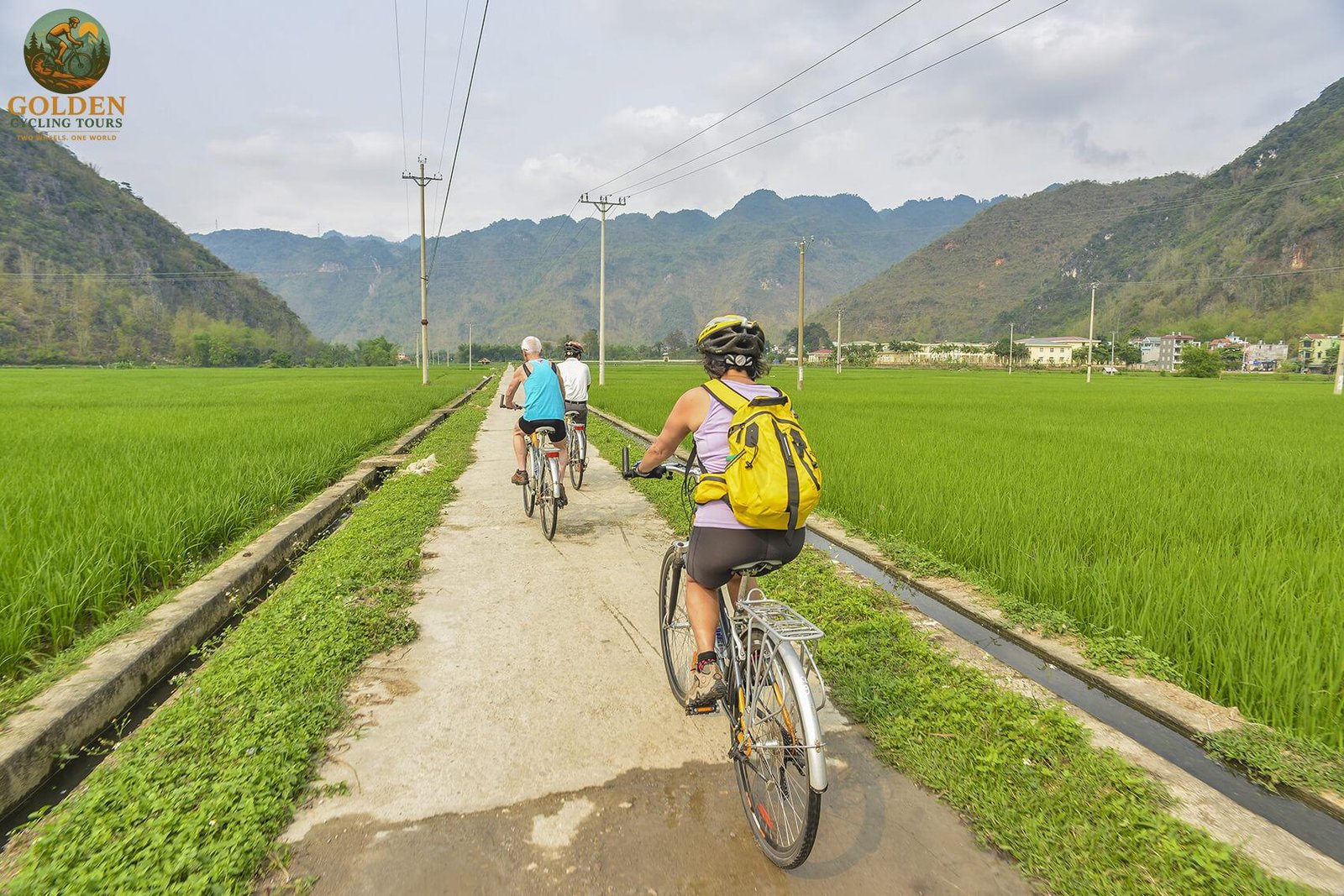 Why Active Travelers Choose Our Handcrafted Mekong Delta Bike Tours