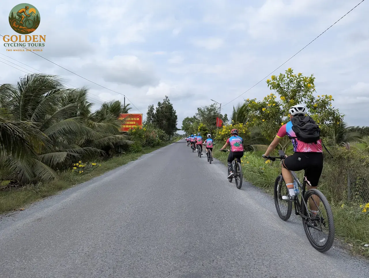 High-End Carbon Fleet for Mekong Delta Road Bike Cycling Holidays