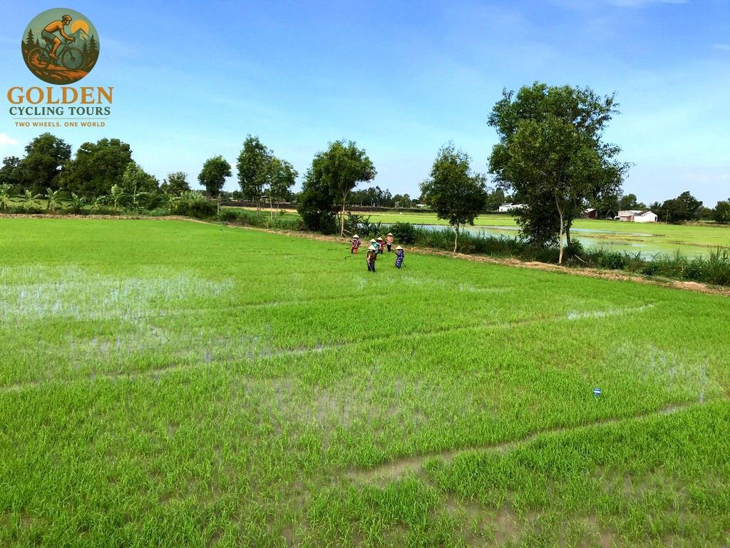 Unpaved Orchard Trails: Top Rated Mekong Delta Gravel Bike Tours