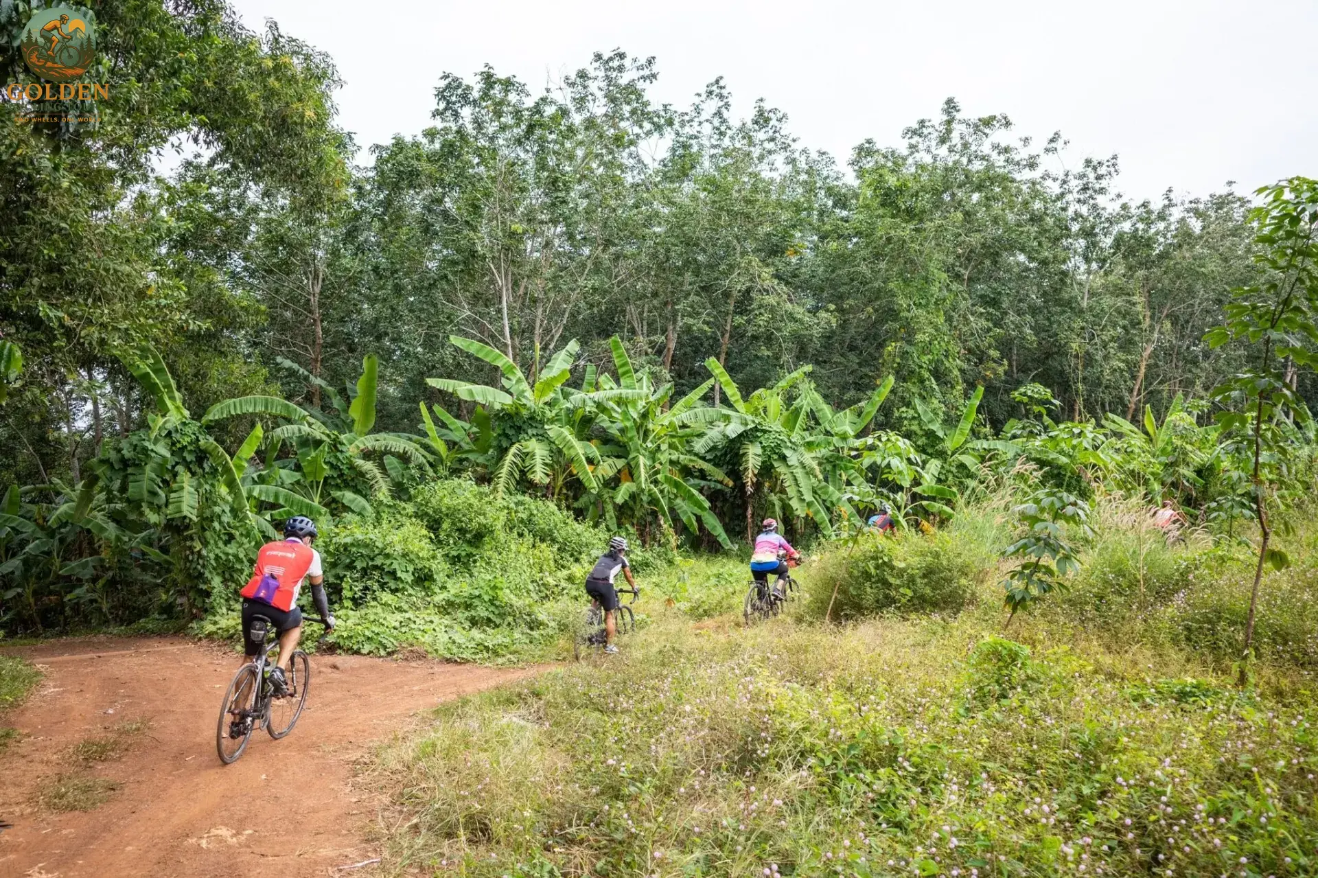 Gourmet Mekong Delta Cycling Luxury Tours: Culinary Delights & Fine Wine