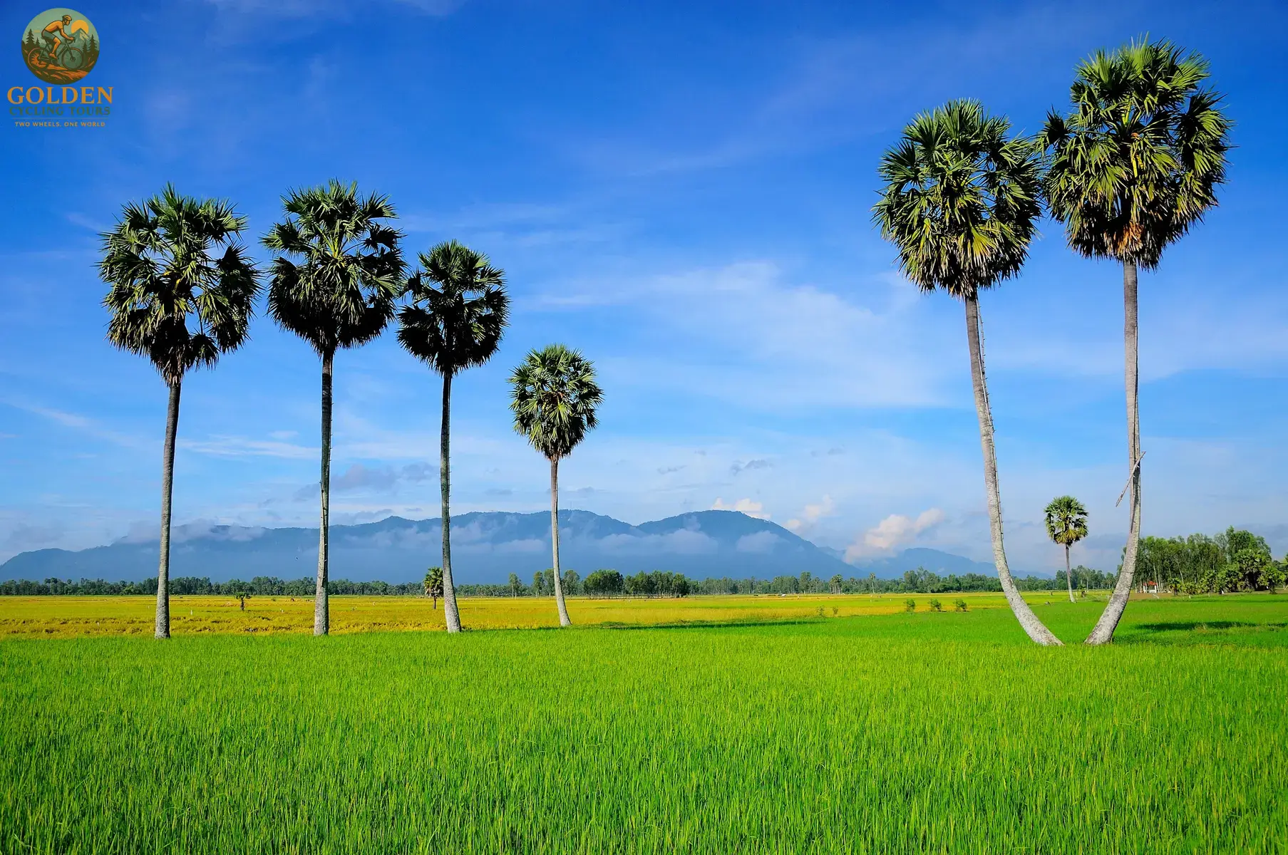 Executive Retreats & Teambuilding Mekong Cycling Tours