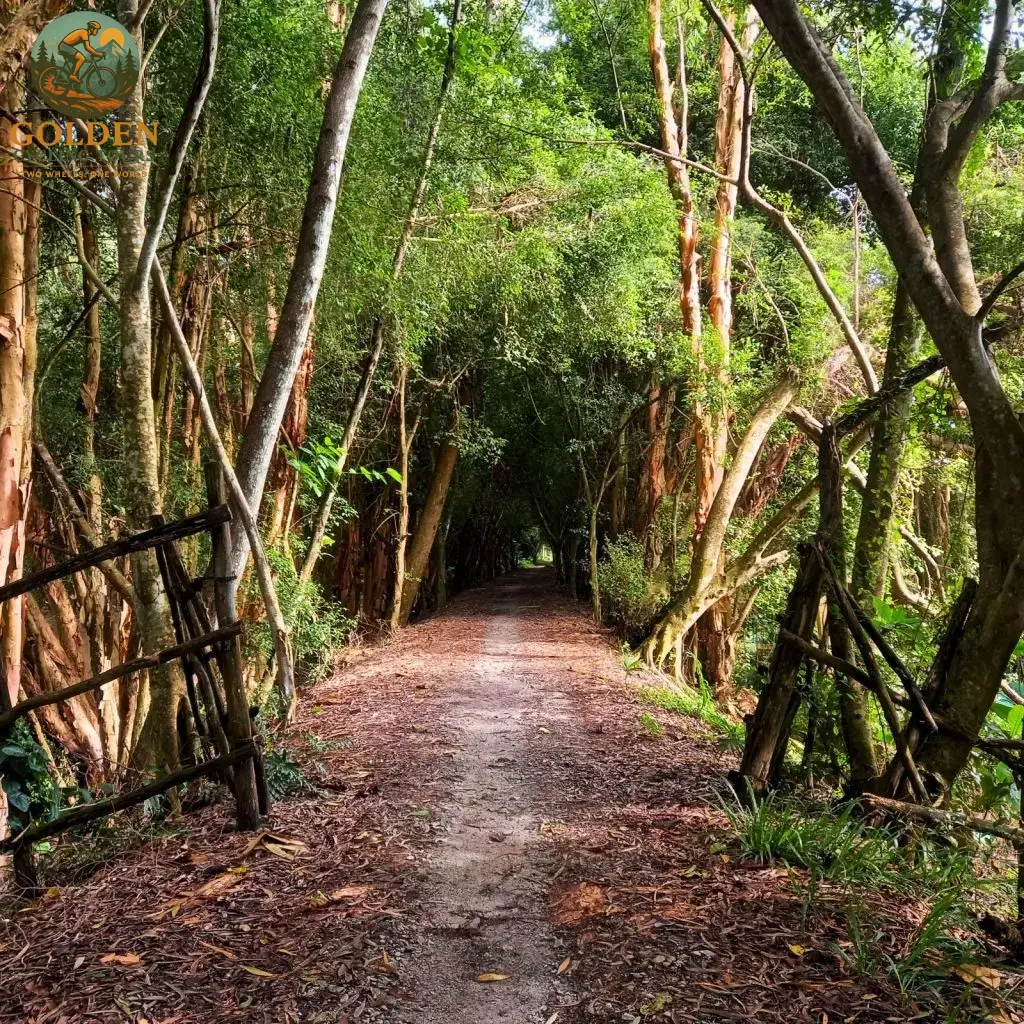 Safe & Pristine River Rides: Mekong Delta Cycling Luxury Tours