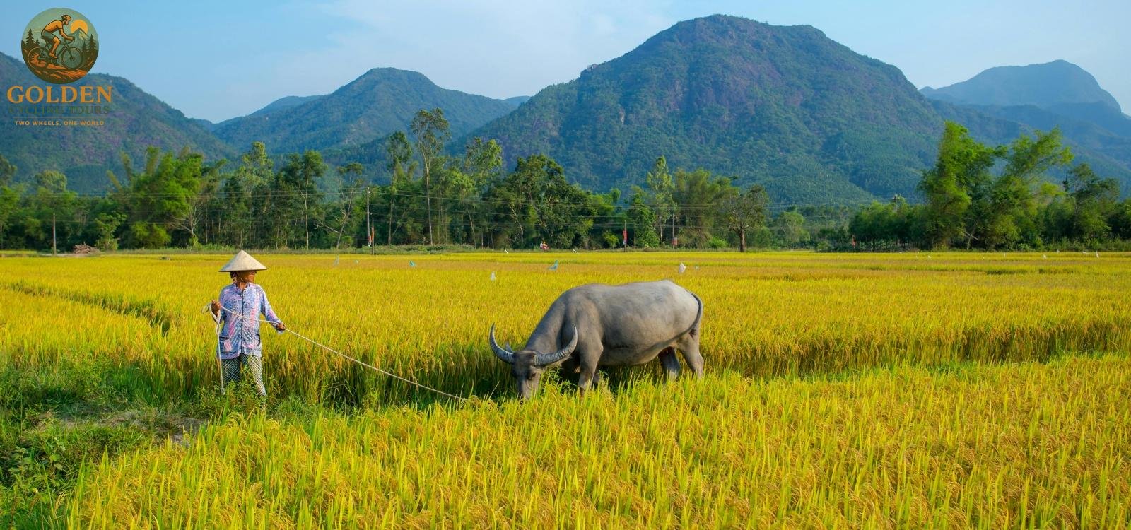 Hidden Island Resorts by Bike: Mekong Delta Luxury Cycling Tours