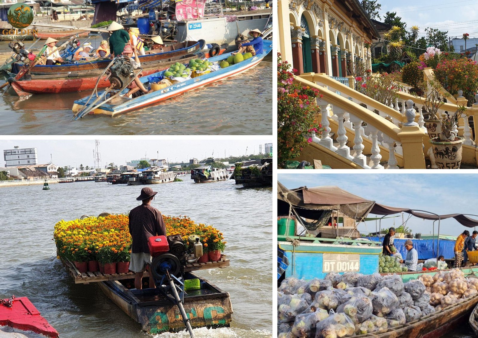 All-Inclusive Private Support Van: VIP Mekong Delta Cycling Luxury Tours