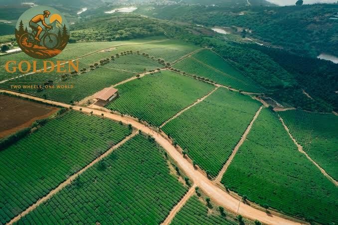 Cycling Tours Hanoi to Ninh Binh, Mai Chau & Pu Luong Nature Reserve