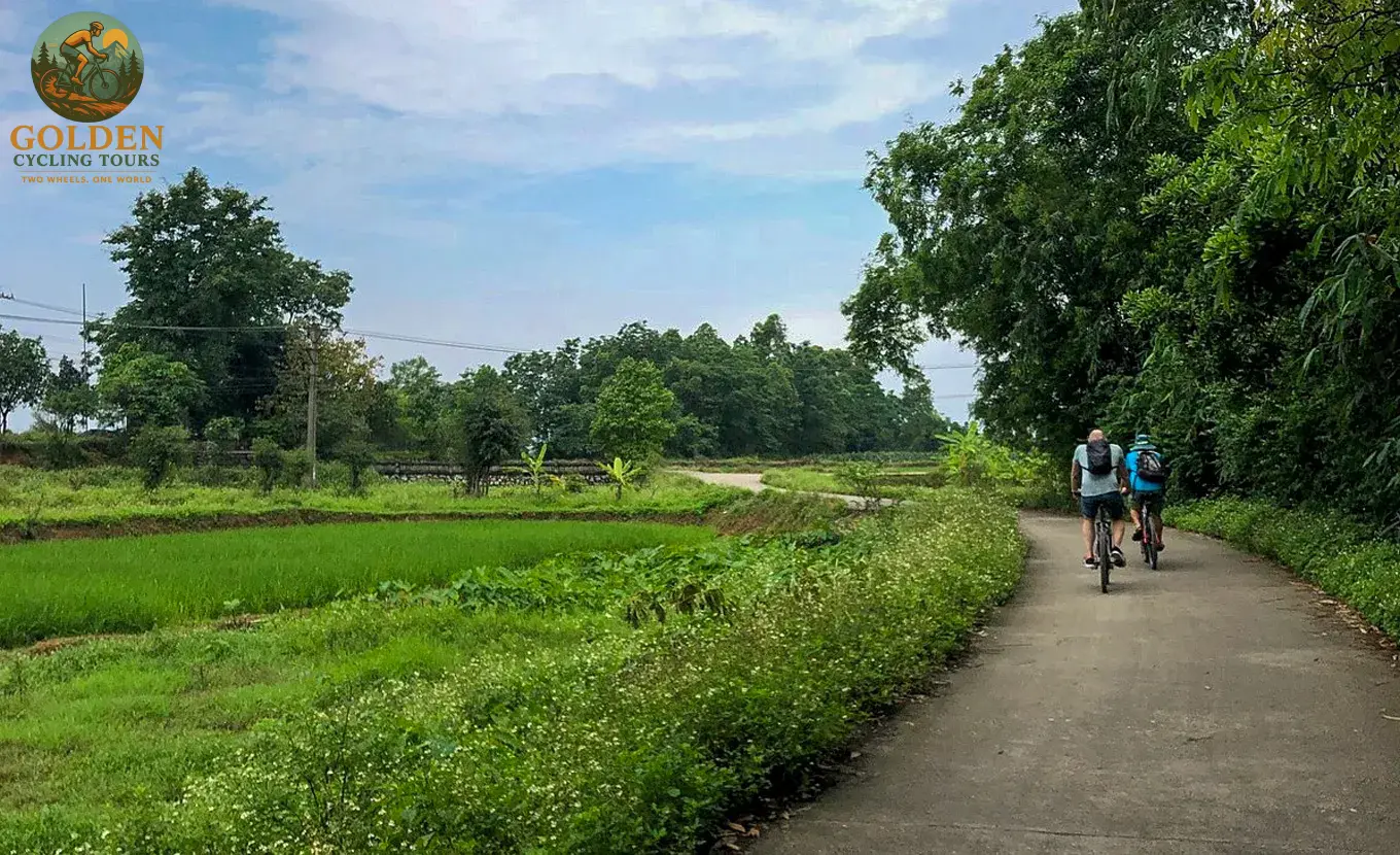 Cycling Ho Chi Minh to Hoi An: Coastal Cuisine & Local Culture