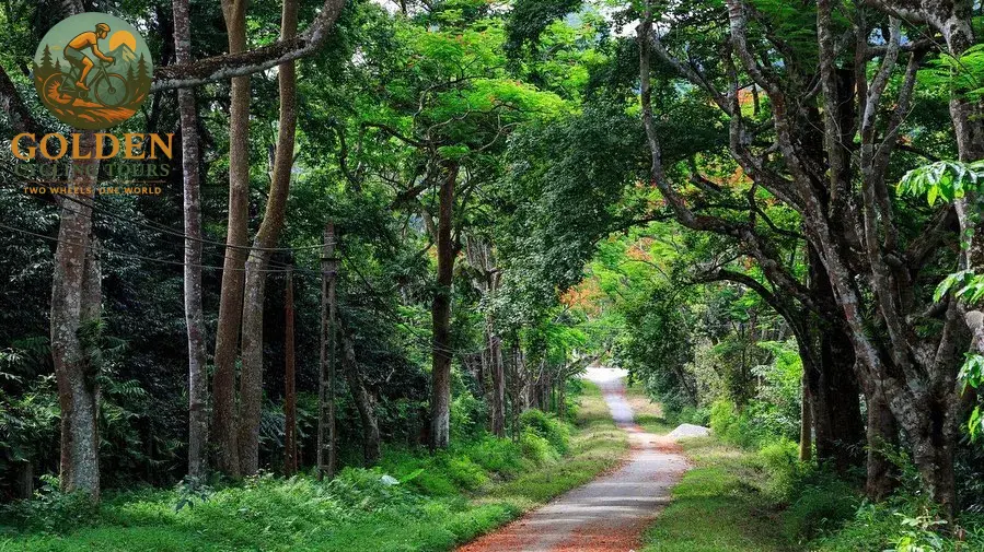 Jungle E-Bike Cycling Tours Hanoi to Cuc Phuong National Park