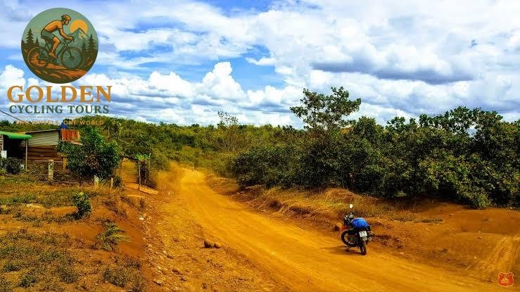Hanoi to Ninh Binh Luxury Cycling: Gourmet & Fine Wine Guide