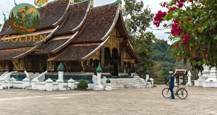 Laos Bike Tours: Ride Under Shady Canopy Trails in Luang Namtha