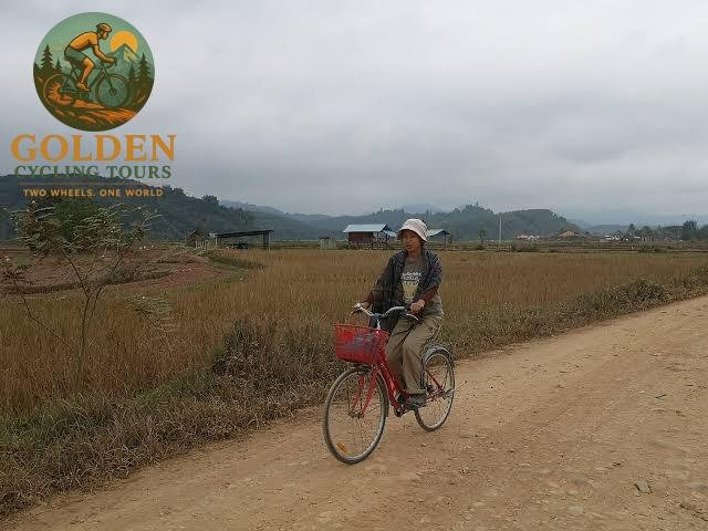 Master the Laos Elevations with Premium Laos Road Bike Cycling Holidays
