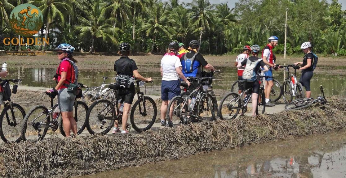Best 7-Day Northern Vietnam Cycling Tours: Hanoi to Mai Chau, Pu Luong & Ninh Binh