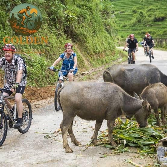 Breeze Through Country Roads with E-Bike Cycling Tours North Vietnam