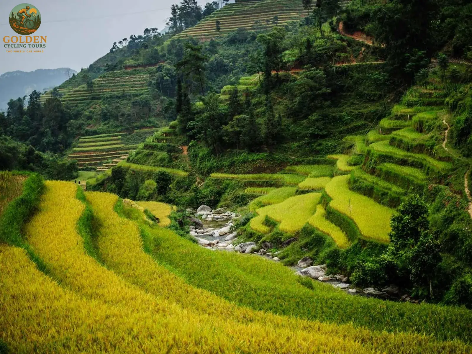 Hoang Su Phi Off-Road Biking: Singletrack Mountain Adventures