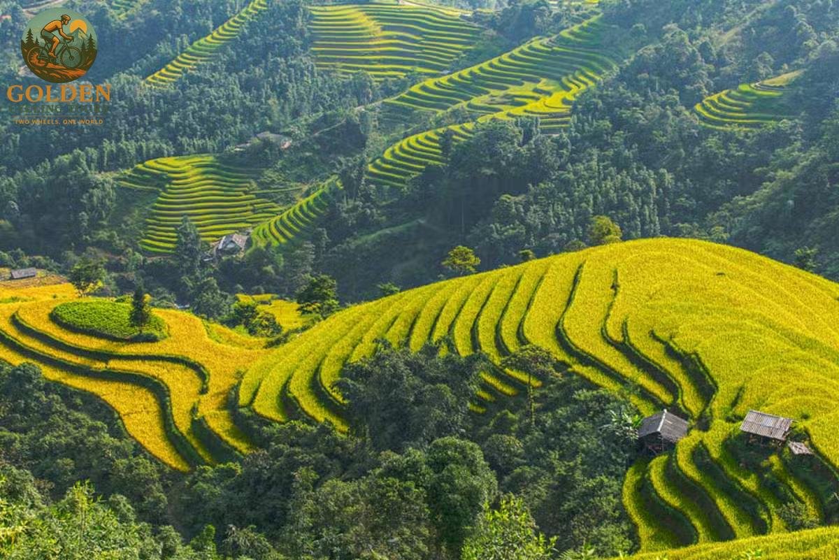 Exploring Hoang Su Phi on Two Wheels: The Complete Biking Guide