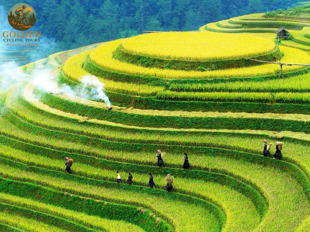 Mu Cang Chai E-Bike Tour: Effortless Biking Across Rice Fields
