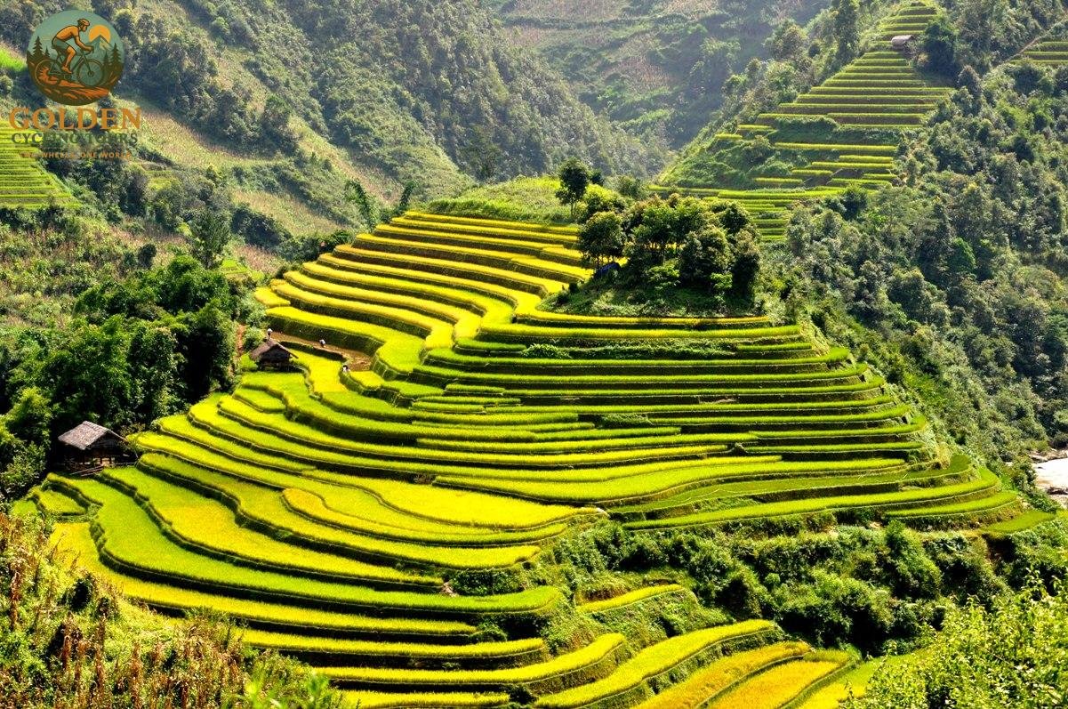 Mu Cang Chai Off-Road MTB Challenge: Technical Mountain Trails