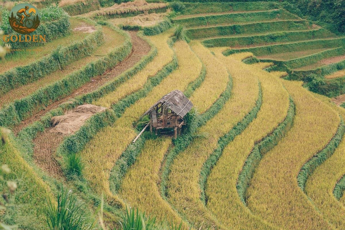 Mu Cang Chai Cycling Guide: Routes, Passes & Photogenic Stops
