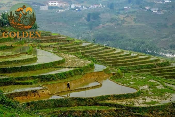 Sapa Mountain Bike Trails: Ultimate Biking Guide