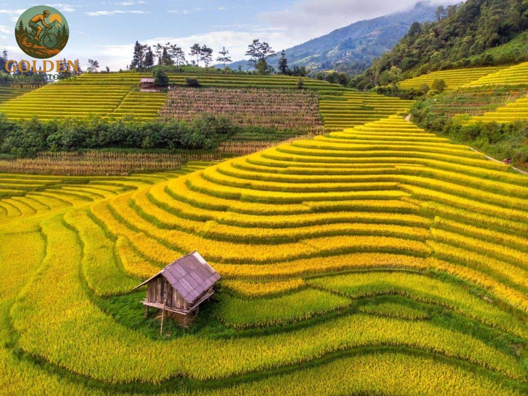 Y Ty Cloud Hunting Cycling Tour: Mystical Biking Guide