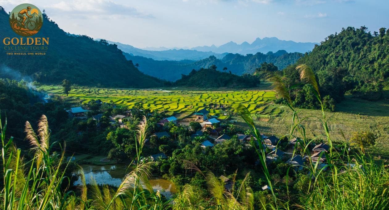 Pu Luong Cycling Tours: Rice Terraces Guide