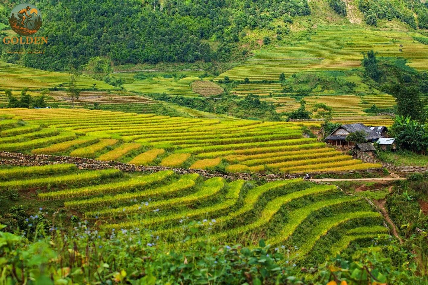Private Mai Chau & Pu Luong Bike Tour | Golden Cycling Tours