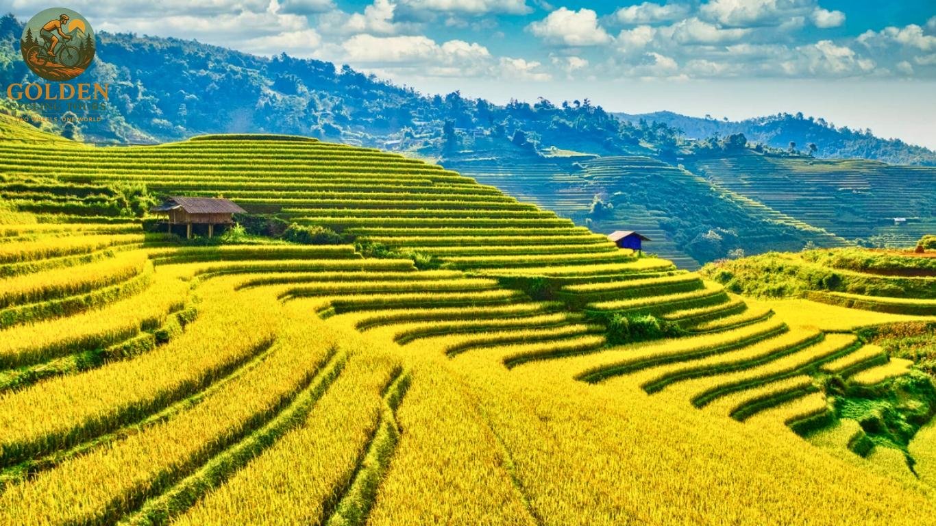 Northern Vietnam MTB Tours: Singletrack & Trails