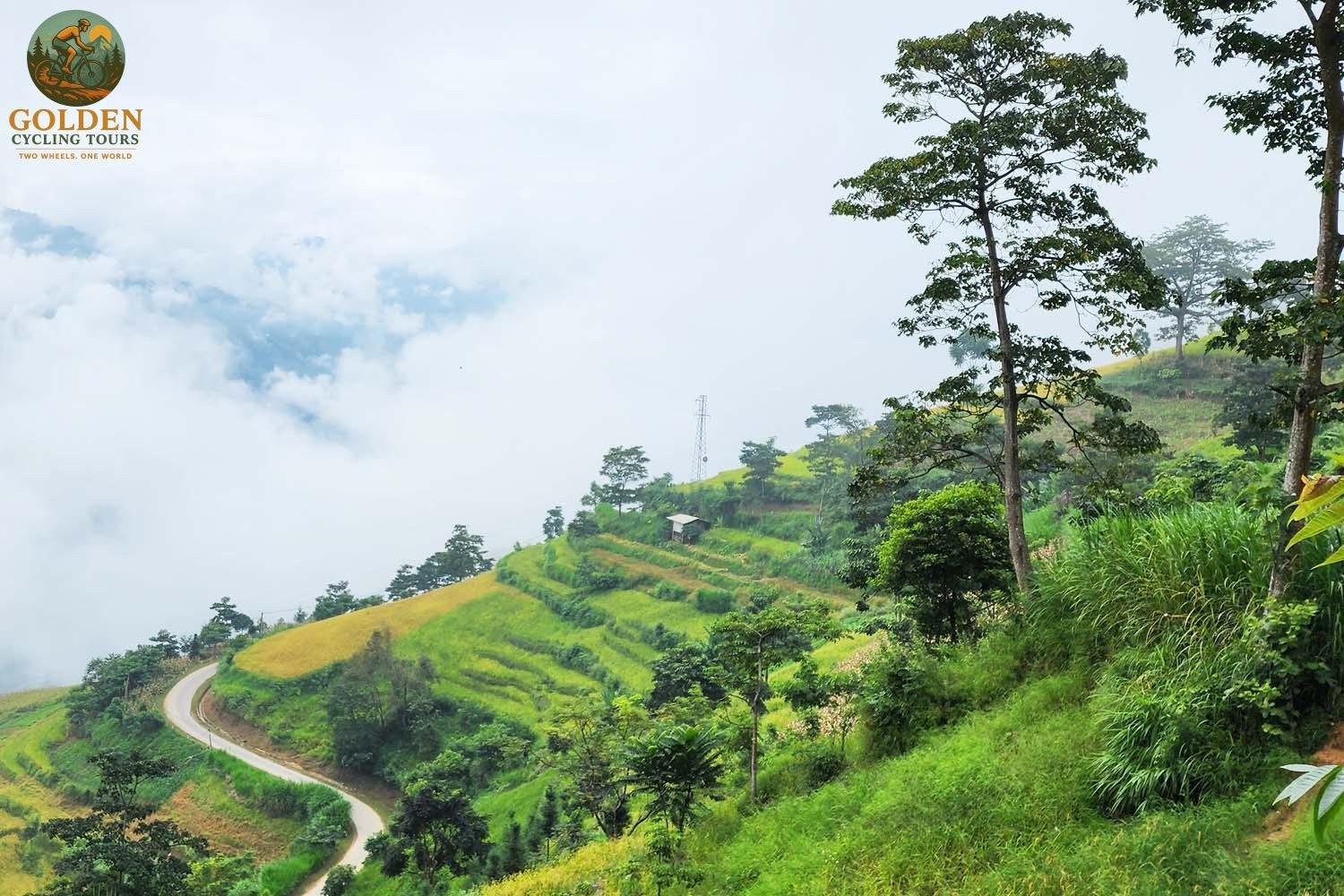 Hoang Su Phi MTB Tour: Technical Terraces & Remote Trails