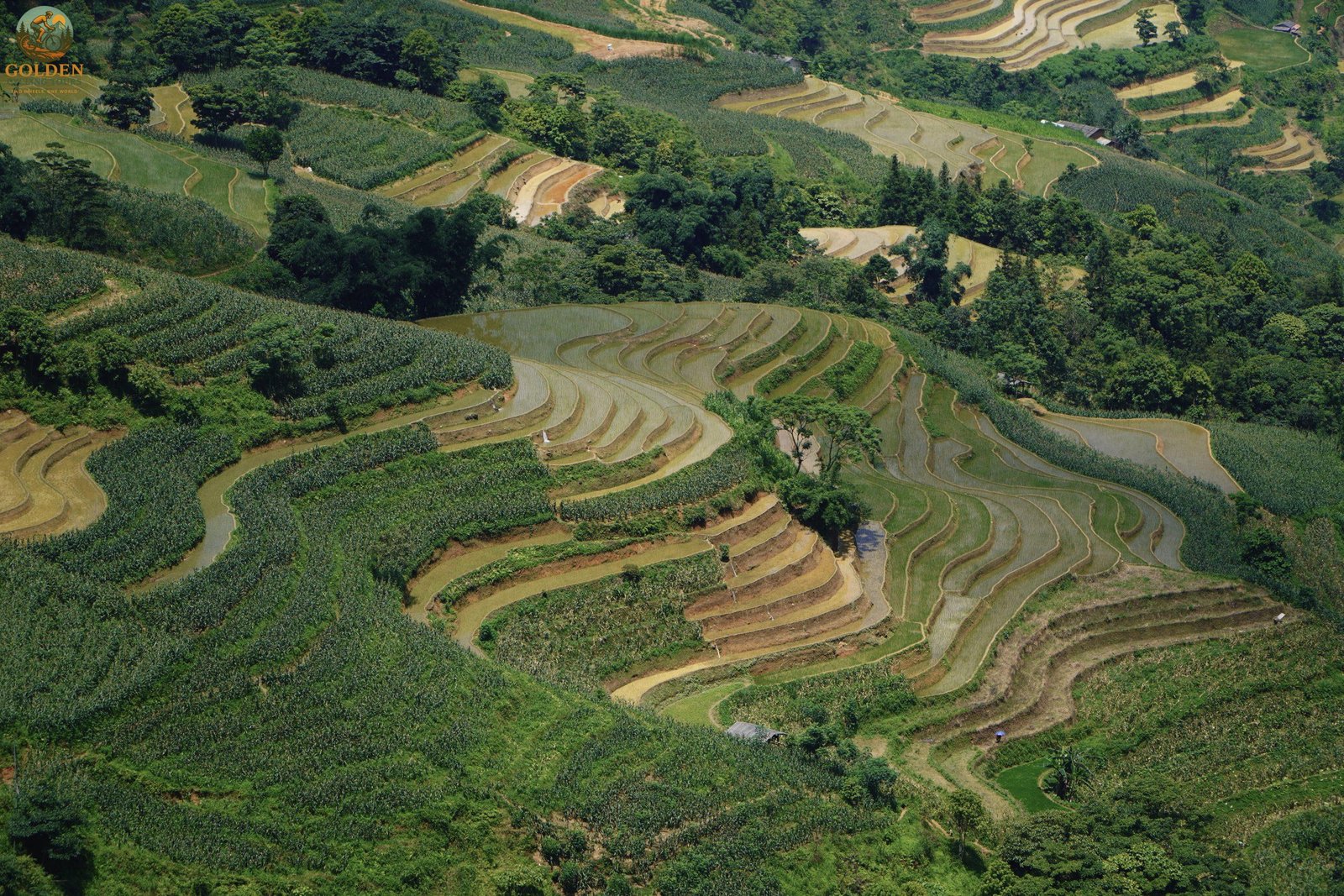 Ha Giang Cycling Tour for Couples: Romantic Alpine Guide