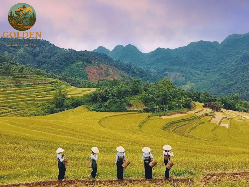 Pu Luong Cycling Tour: Ultimate Nature Guide