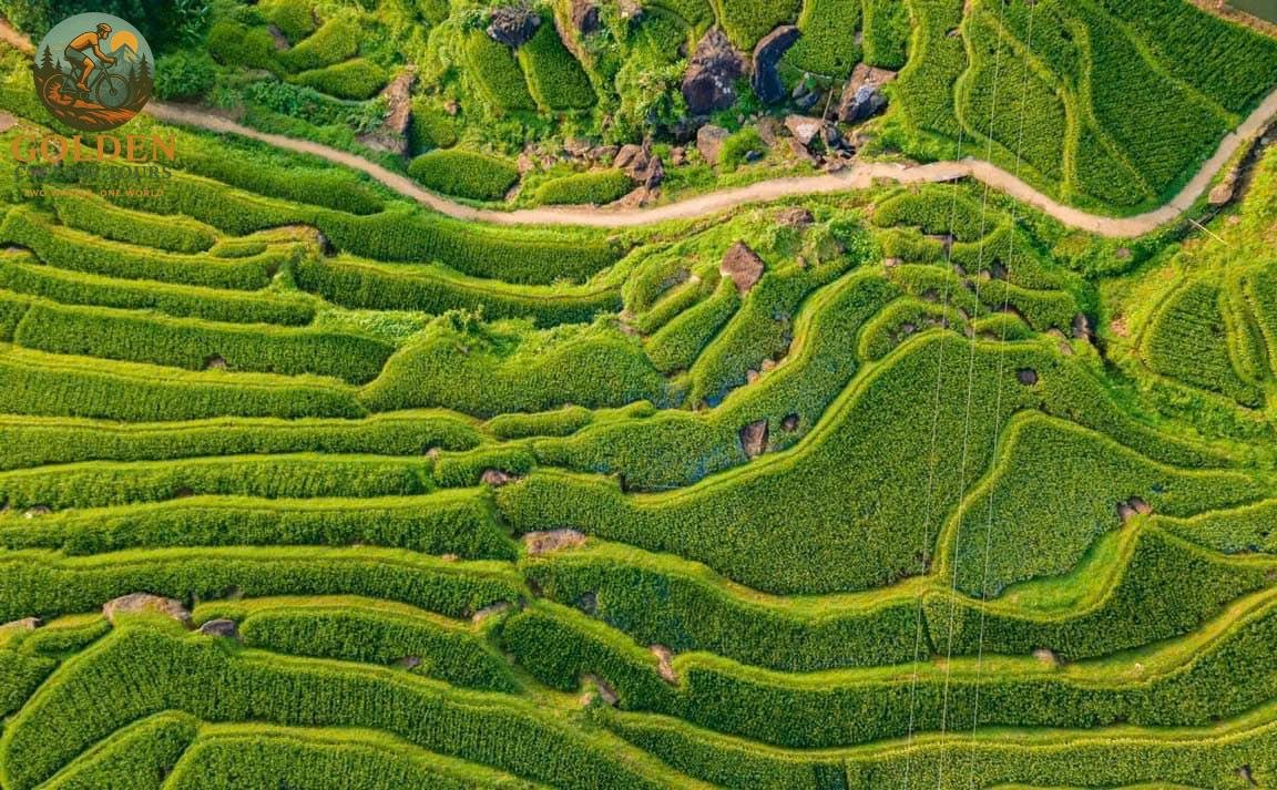 Mai Chau Pu Luong 5 Day Cycling Tour: The Ultimate Northern Trail