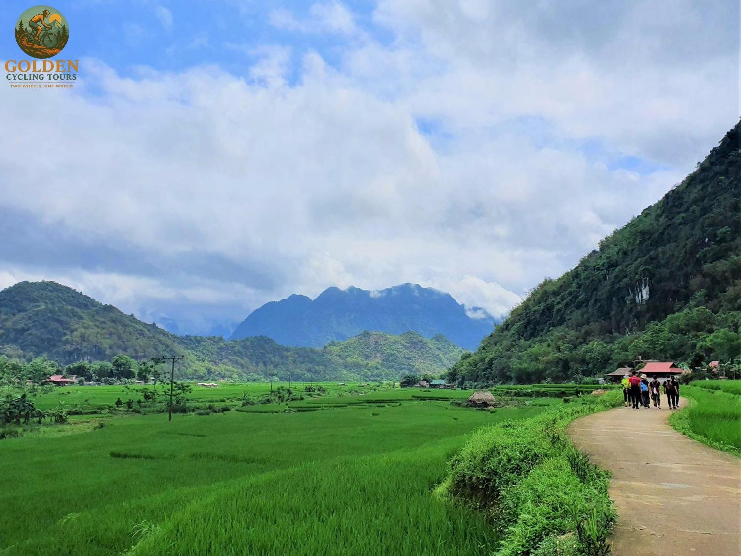 Cycling Mai Chau Rice Fields: The Ultimate Emerald Valley Guide