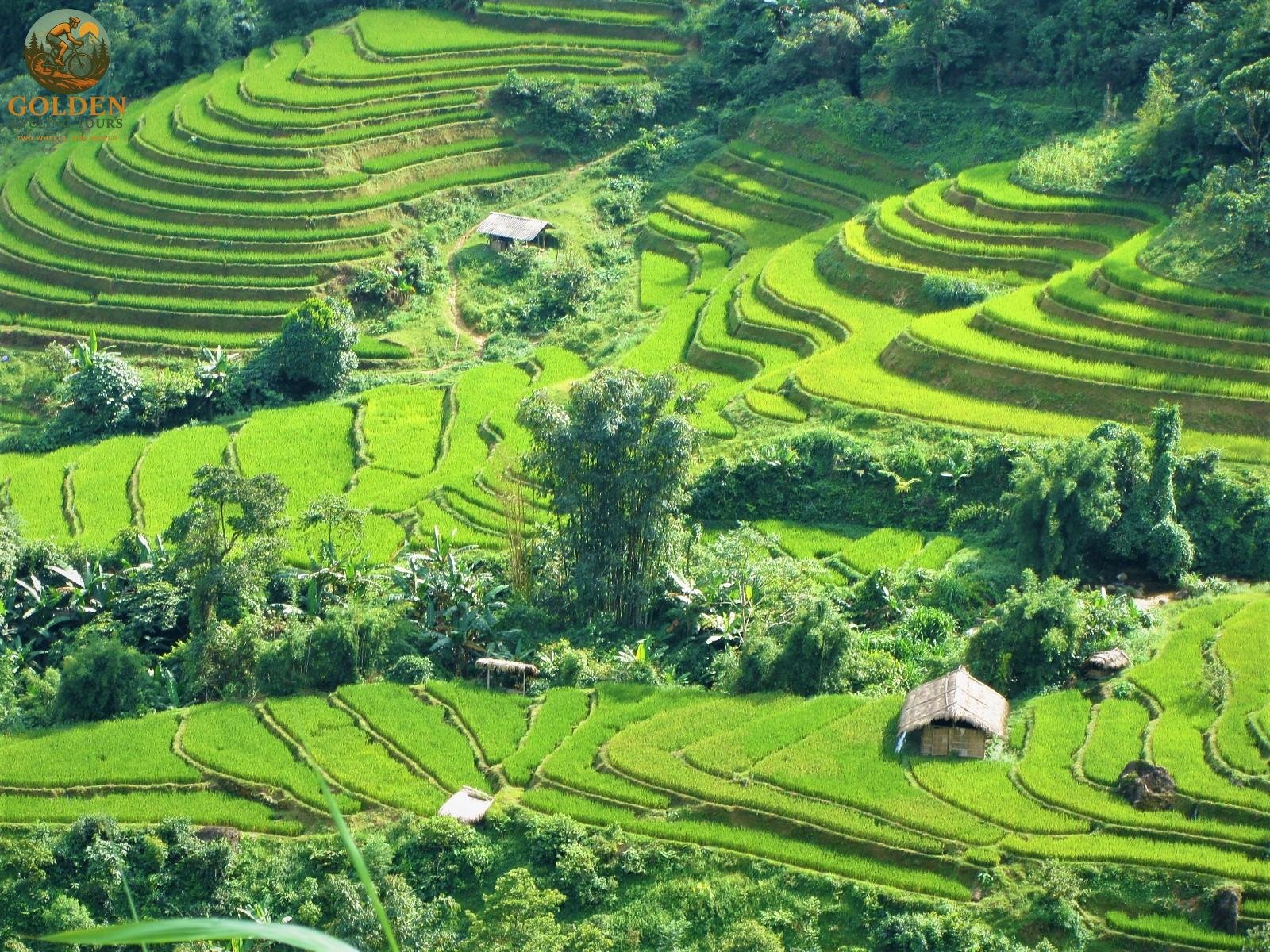 Northern Vietnam E-bike Tours: Ultimate Electric Cycling Guide