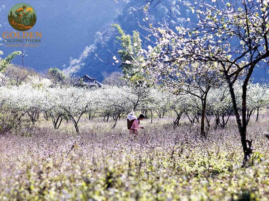 Ha Giang E-bike Tour: Ultimate Electric Cycling Guide
