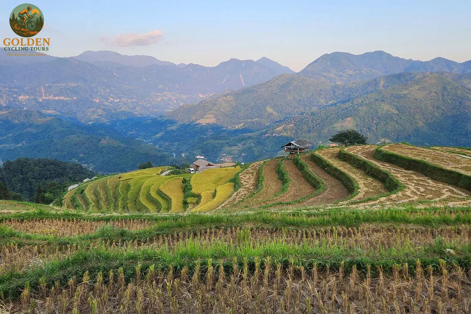 Northern Vietnam vs Southern Vietnam Cycling: Ultimate Comparison Guide