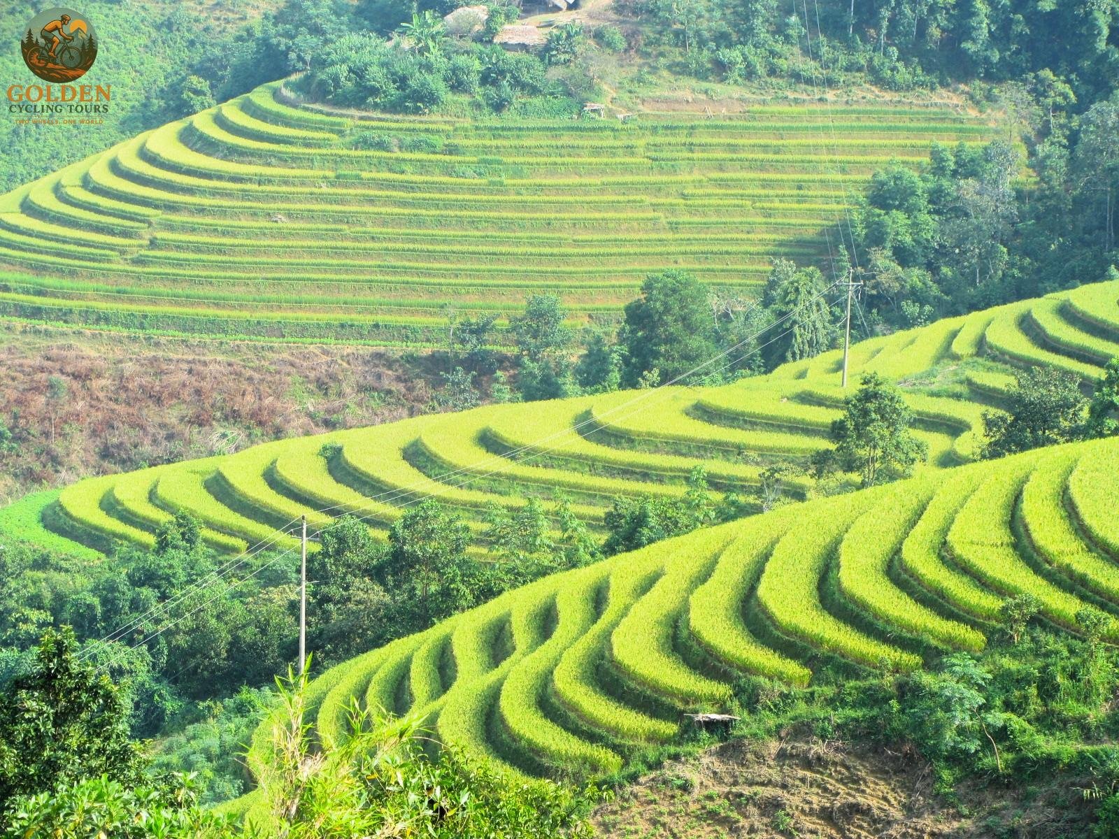 MTB vs Gravel Bike for Ha Giang: Ultimate Riding Guide