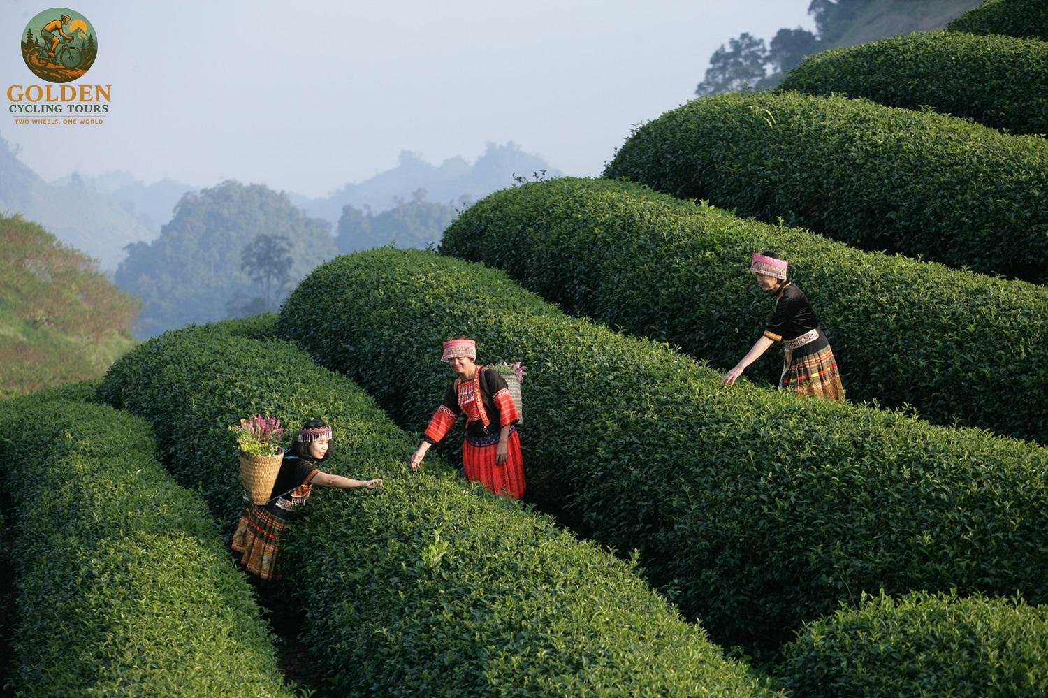 Northern Vietnam Cycling: Ultimate Expedition Guide