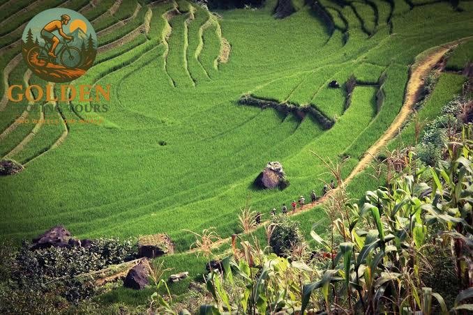 Pu Luong Cycling Tour: Ultimate Northern Vietnam Guide