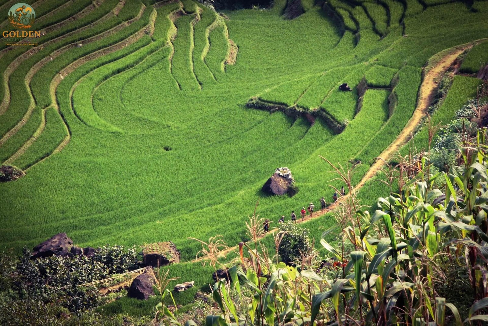 Biking Club Training & Adventure Trips in Northern Vietnam