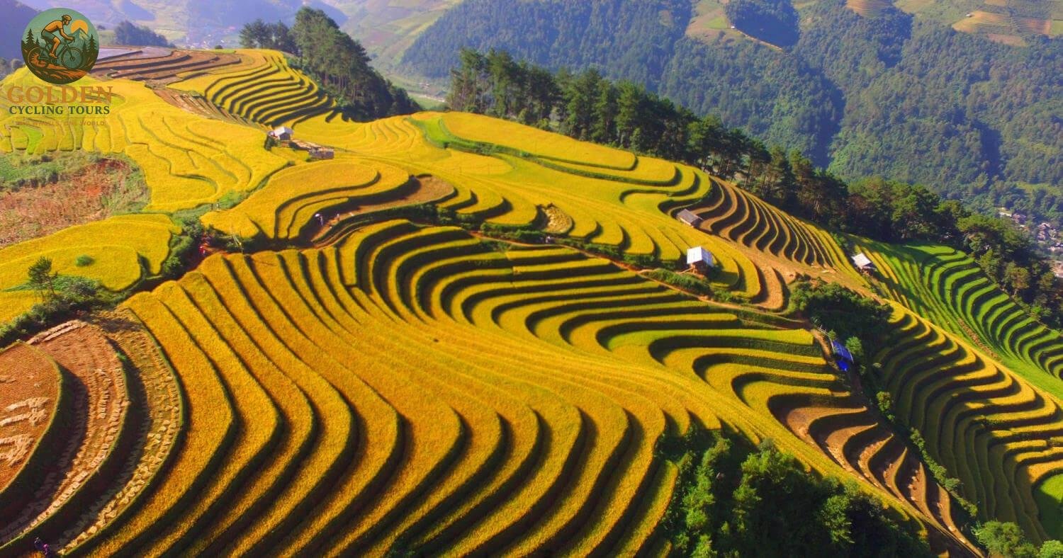 Cost of Biking Northern Vietnam: Tour Prices, Gear & Budget Breakdown