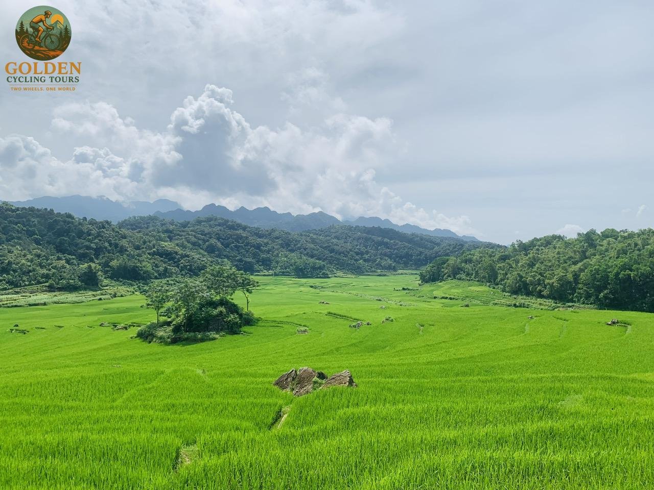 Local Homestays and Cuisine on a 15-Day Northeast Vietnam Bike Expedition