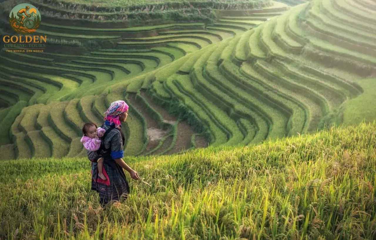 Fitness Requirements and Training Plan for a 15-Day Northeast Vietnam Cycling Tour