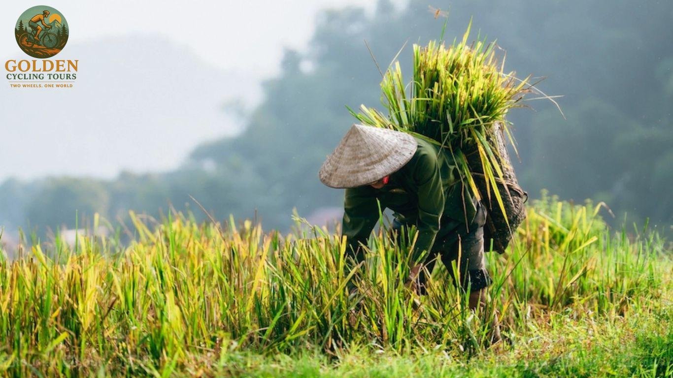 Cycling Northern Vietnam’s Borderlands: A 15-Day Epic Tour