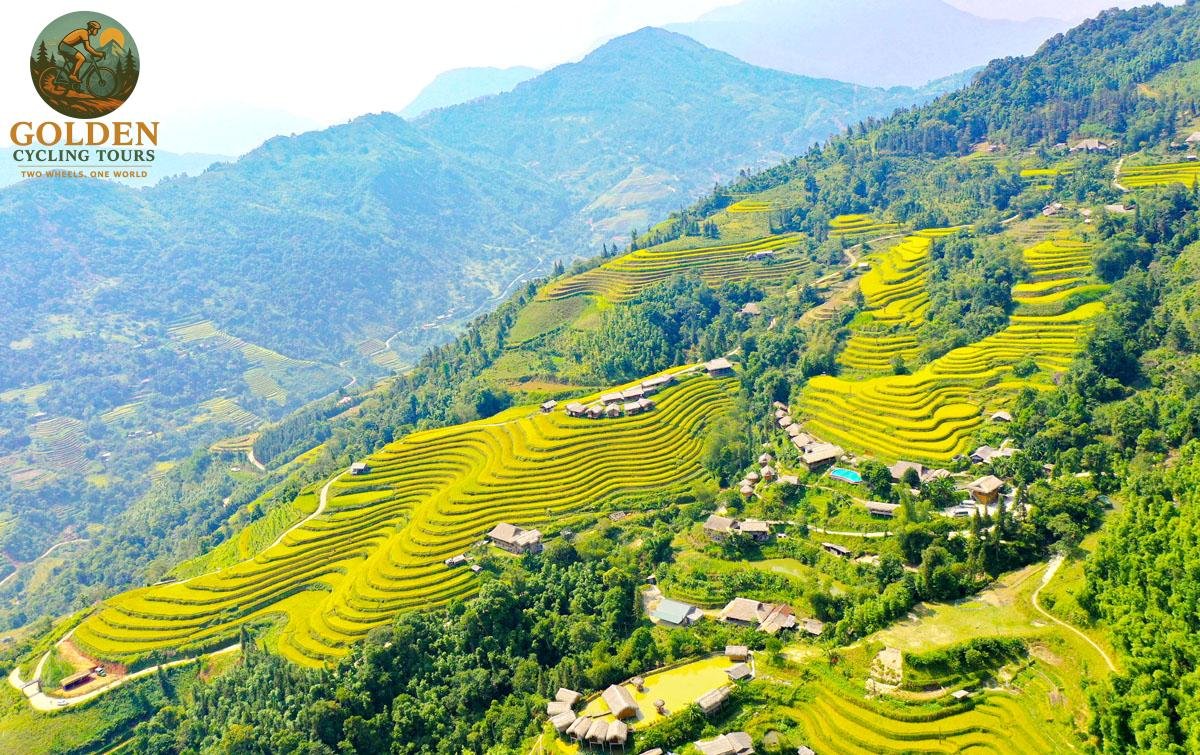 Hoang Su Phi MTB Tour: Technical Biking Through Rice Terraces