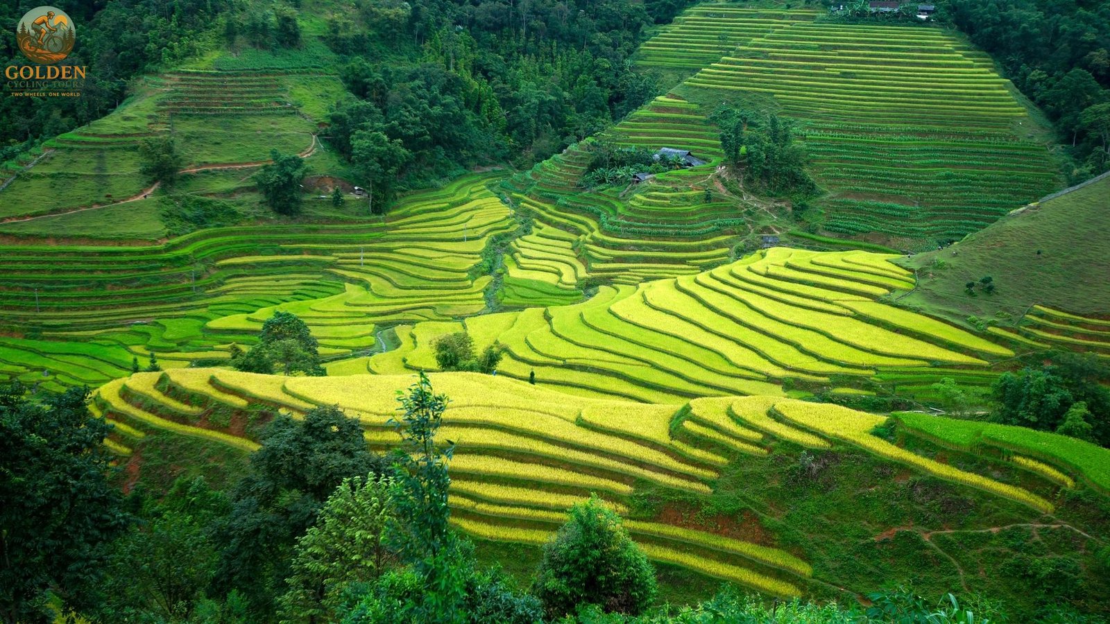 Are You Ready for Vietnam’s Most Epic Cycling Challenge? Join the 10-Day Ha Giang Loop!