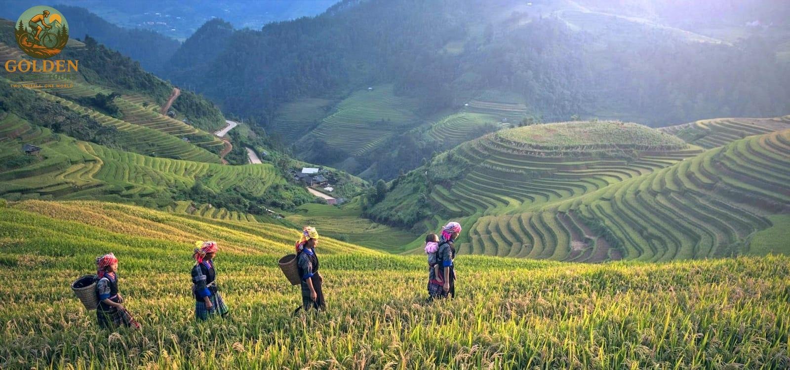 The Extreme North: A 10-Day Cycling Guide to Ha Giang & Border Passes