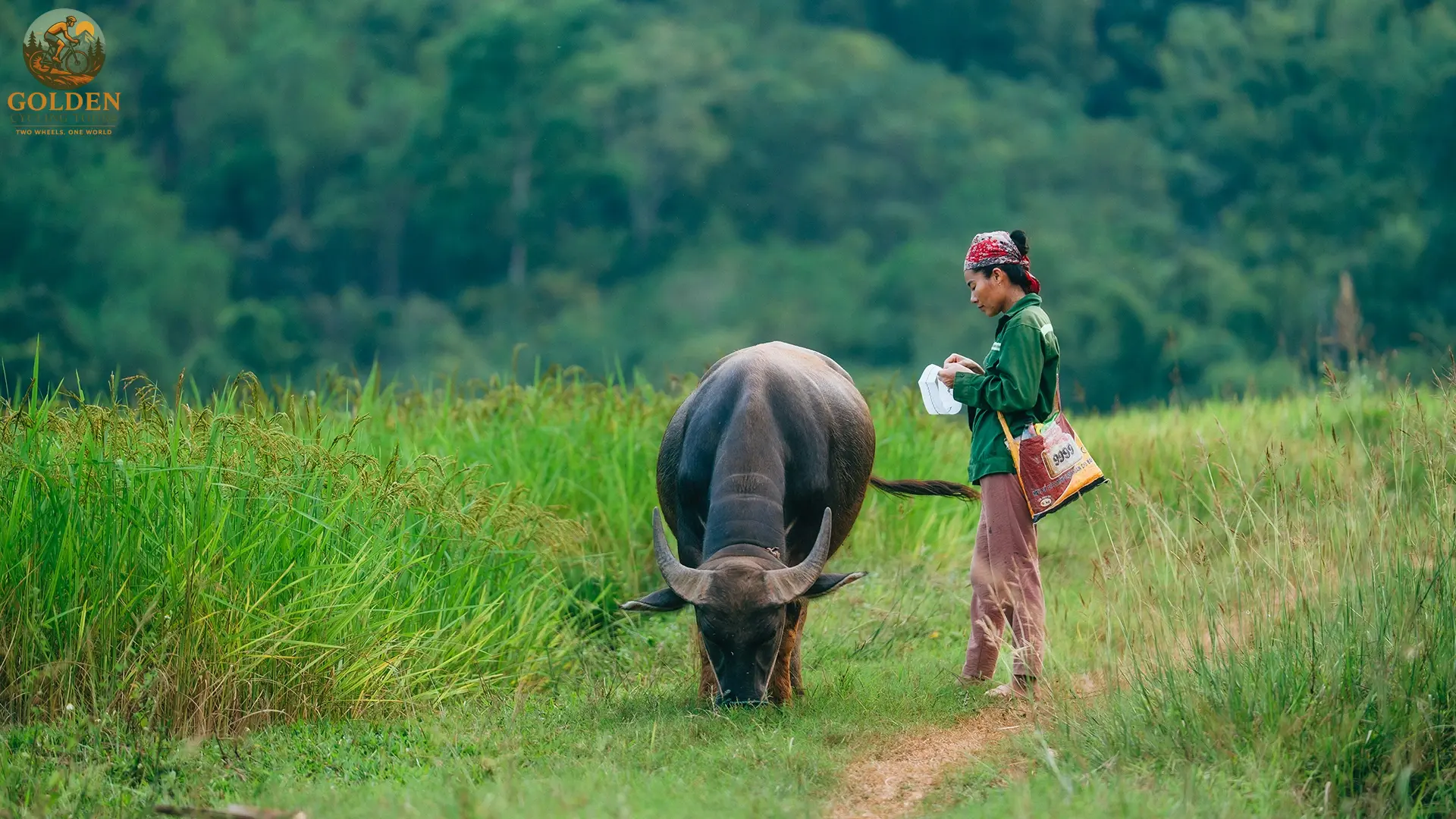 Mountain Mist to Emerald Rivers: Vietnam E-Bike Adventure