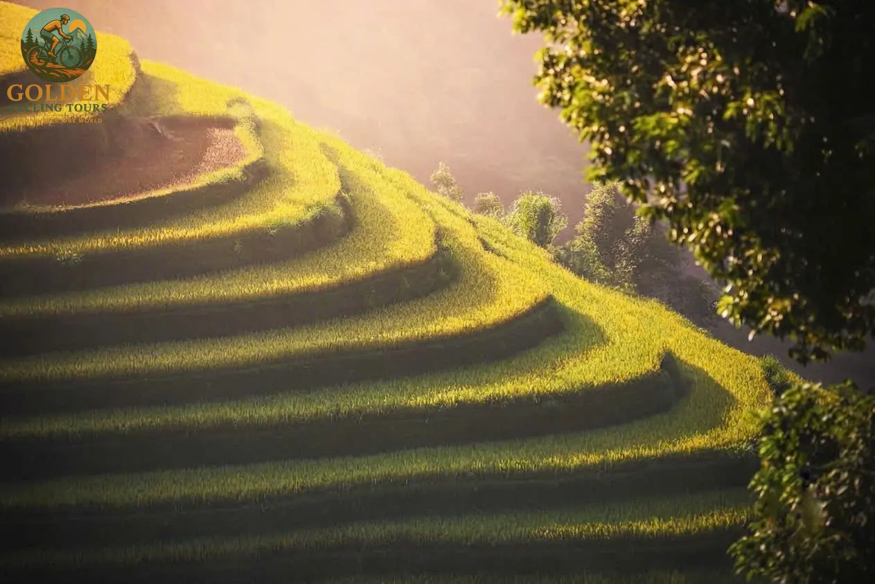 Photographers’ Choice: Mu Cang Chai Cycling Tour Guide