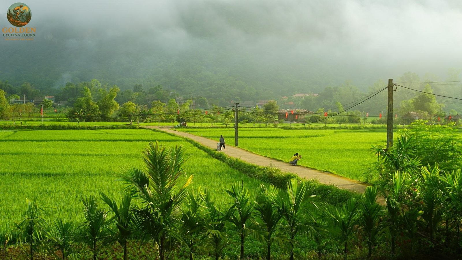 Pu Luong Nature Trails: A Scenic Cycling Guide